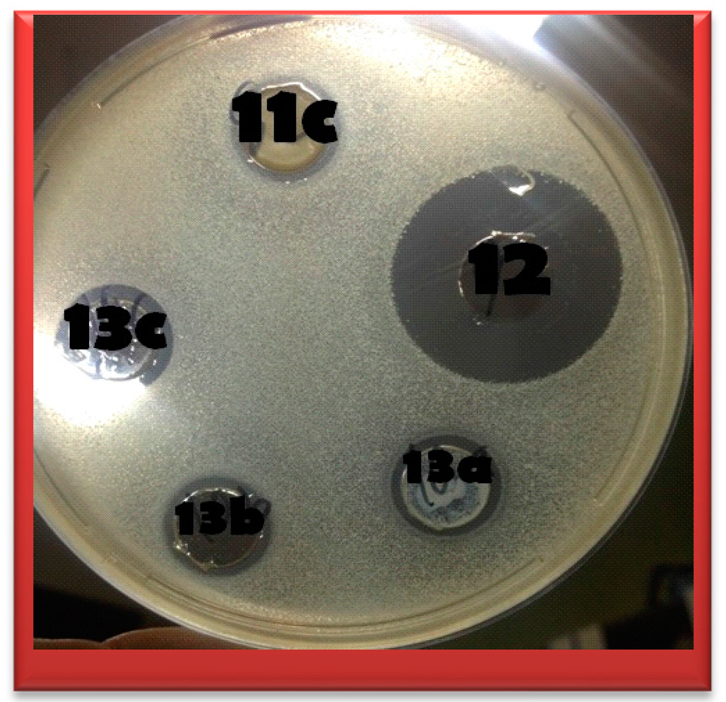 Molecules 20 16620 g002