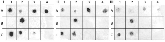 Molecules 20 16770 g009 550