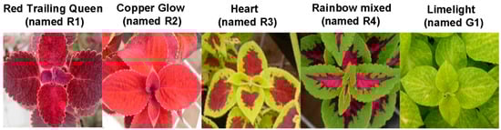 Molecules 20 16833 g001 550