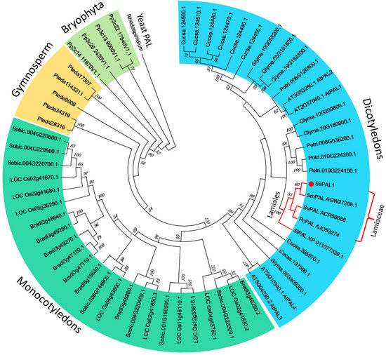 Molecules 20 16833 g004 550