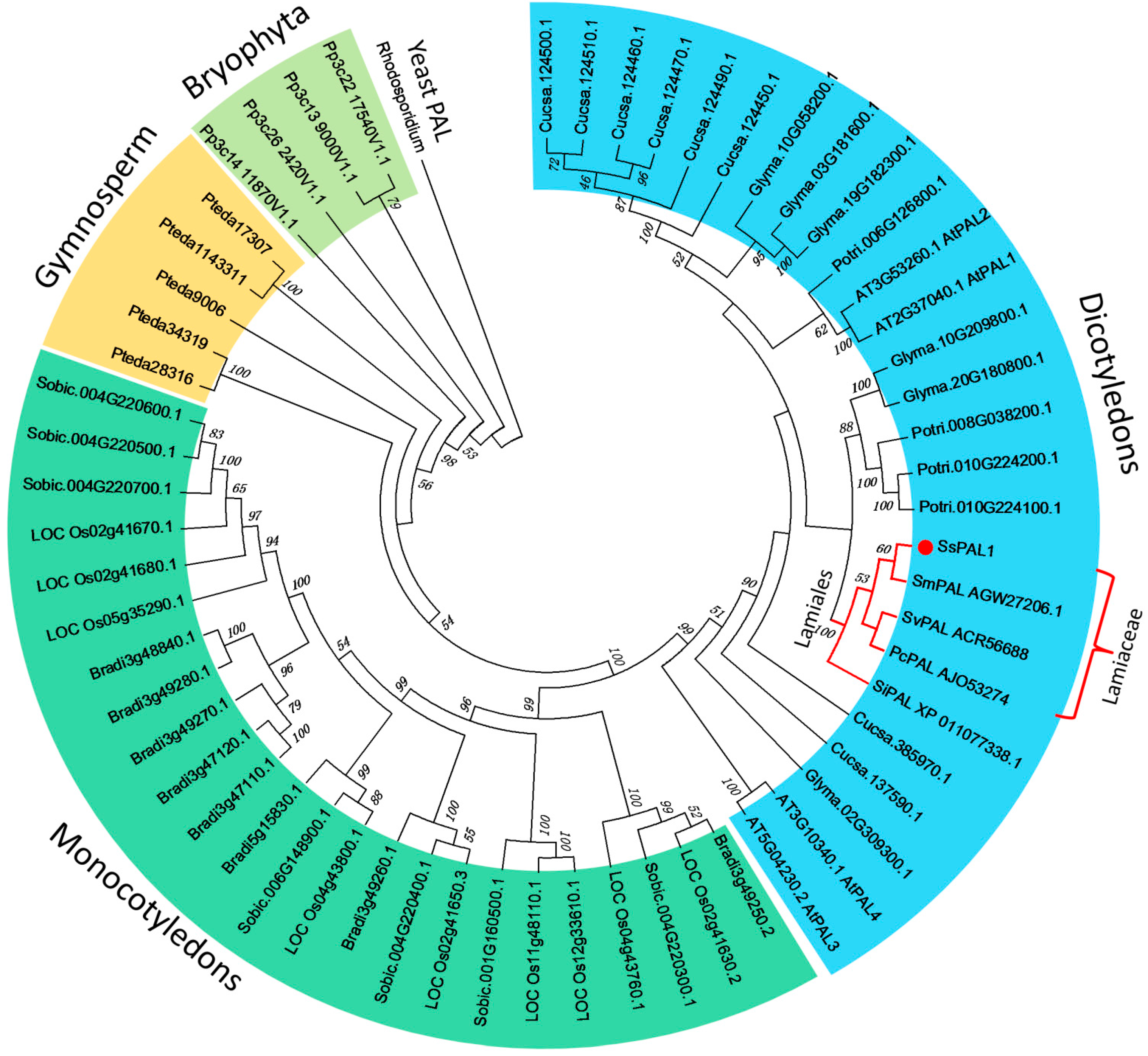 Molecules 20 16833 g004