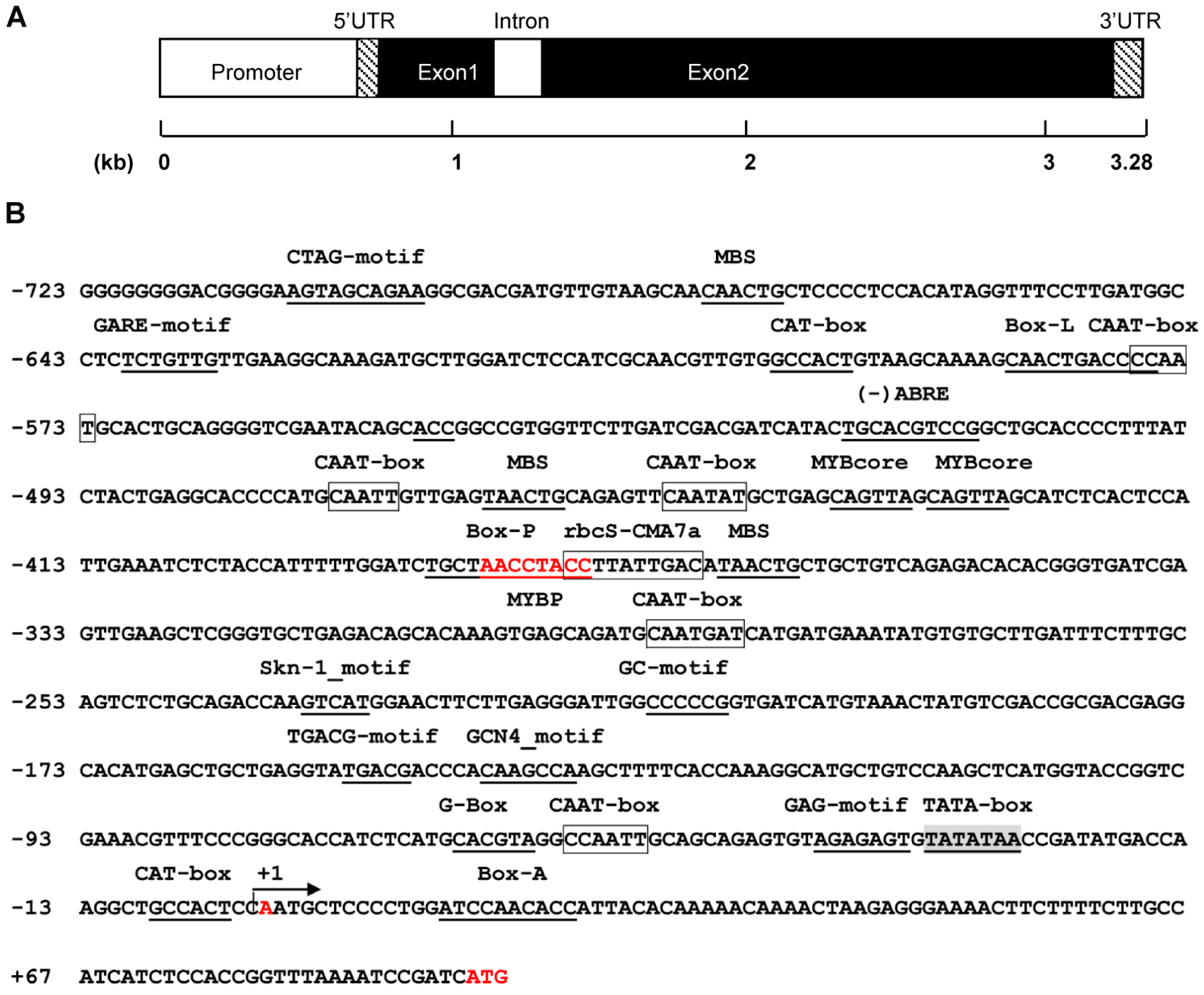 Molecules 20 16833 g005