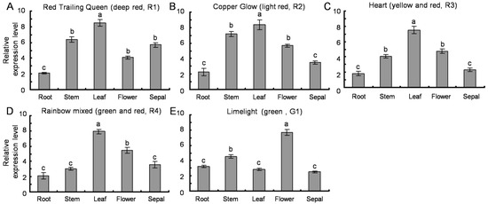Molecules 20 16833 g006 550