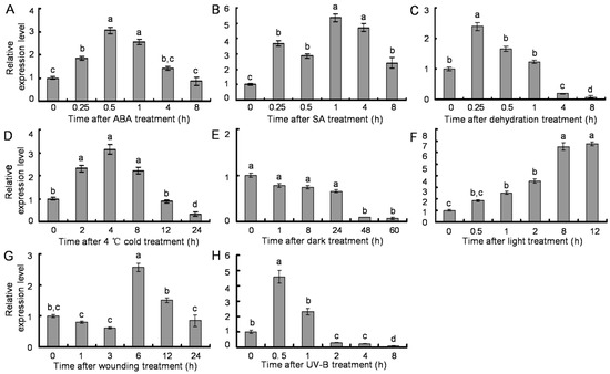 Molecules 20 16833 g007 550