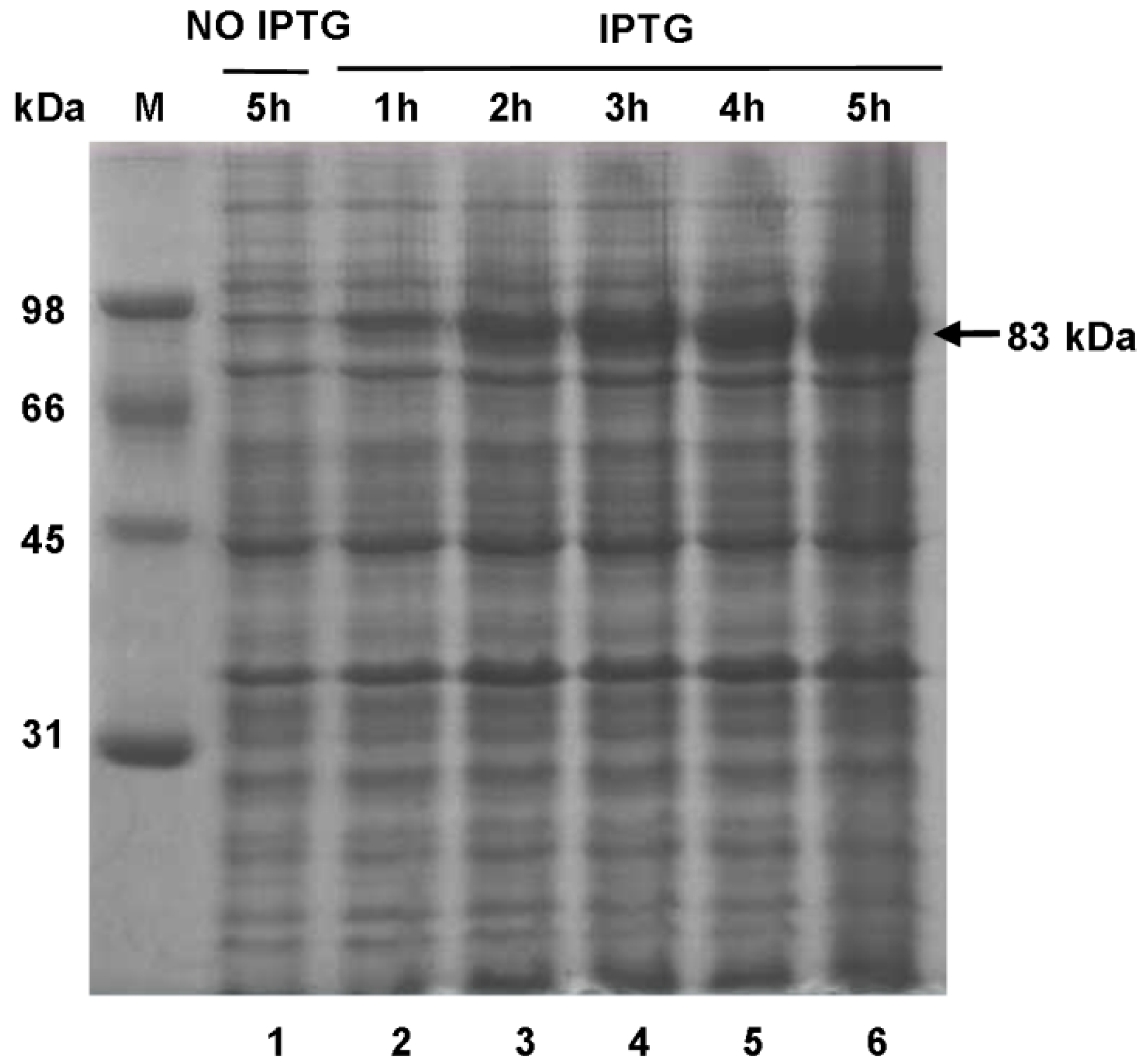 Molecules 20 16833 g008