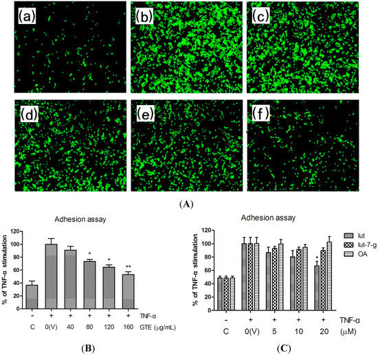 Molecules 20 16908 g002 550