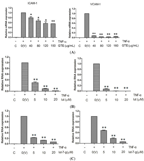 Molecules 20 16908 g004 550