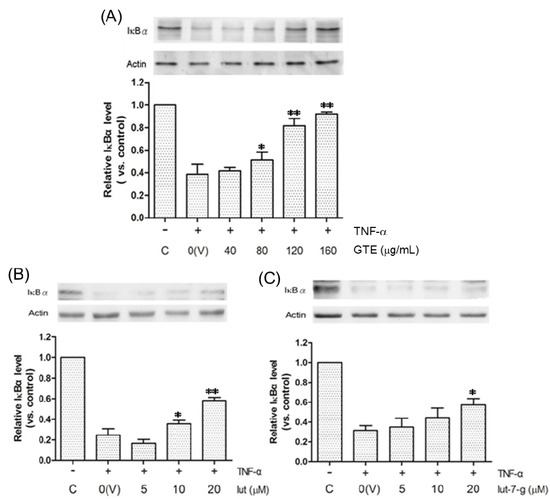 Molecules 20 16908 g005 550