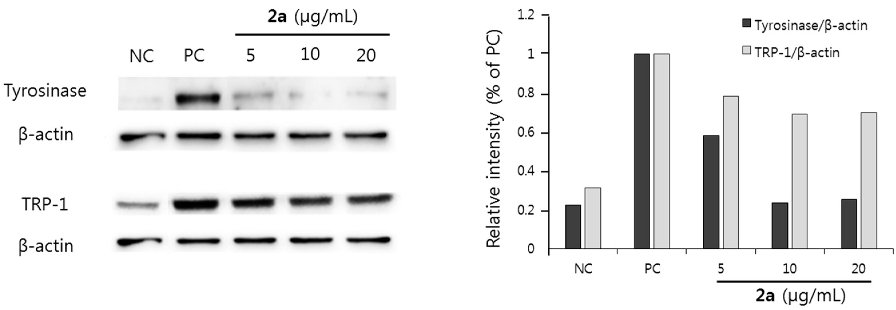 Molecules 20 16933 g004