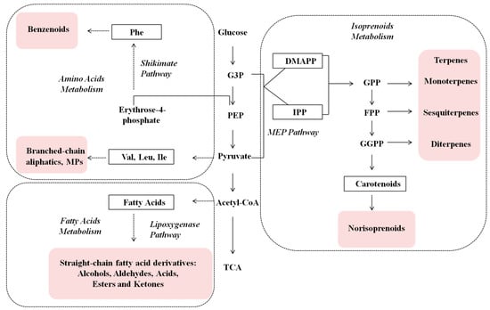 Molecules 20 16946 g001 550