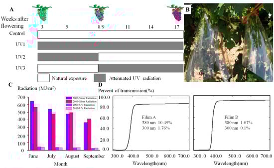 Molecules 20 16946 g007 550