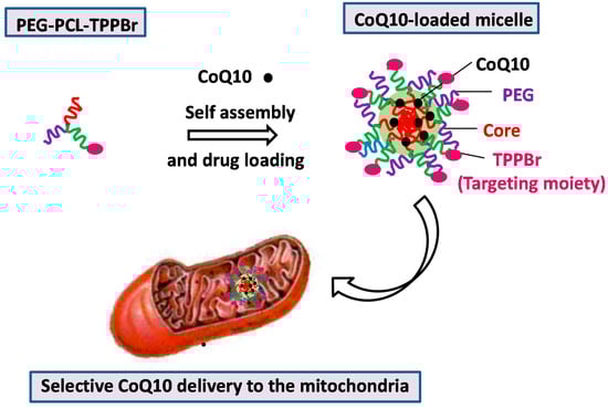 Molecules 20 16987 g008 550