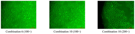Molecules 20 17016 g005a 550