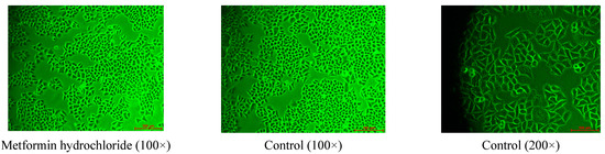 Molecules 20 17016 g005b 550