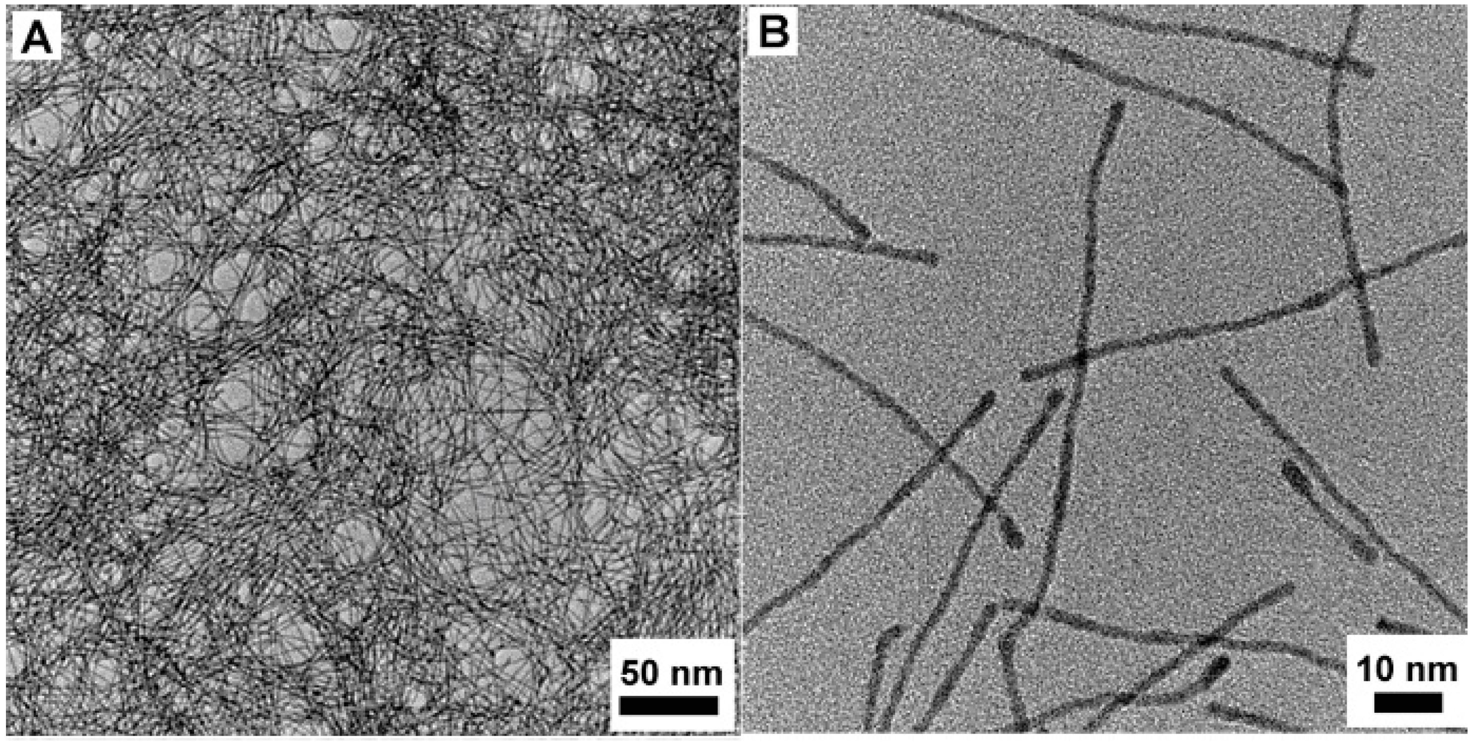 Molecules 20 17070 g002a