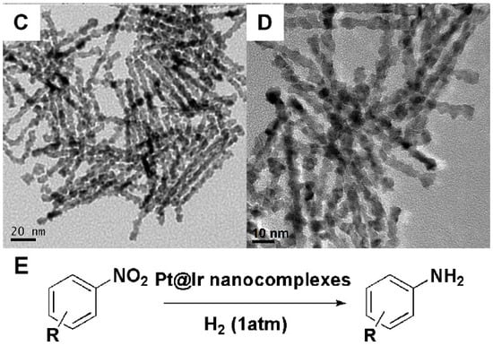 Molecules 20 17070 g003b 550