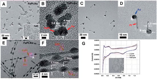 Molecules 20 17070 g004 550