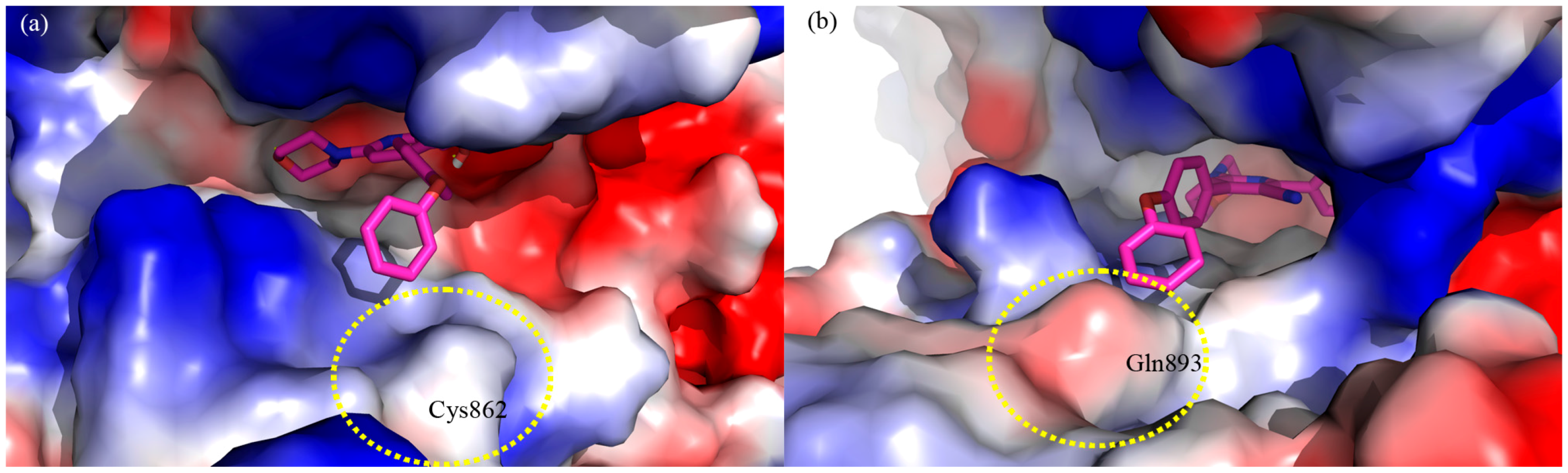 Molecules 20 17275 g005