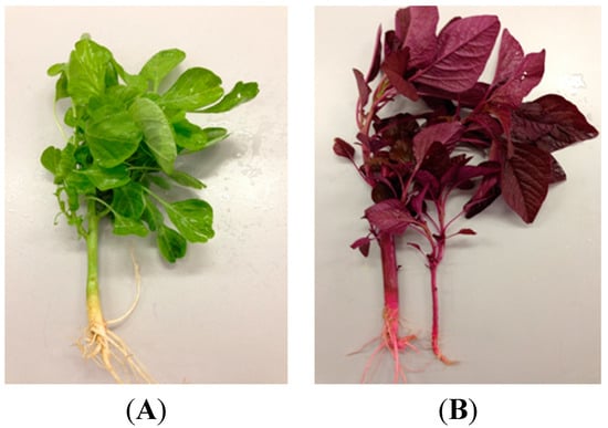 Molecules 20 17288 g001 550