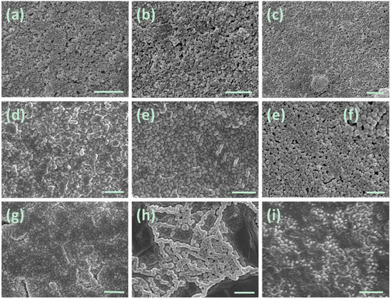 Molecules 20 17378 g004 550