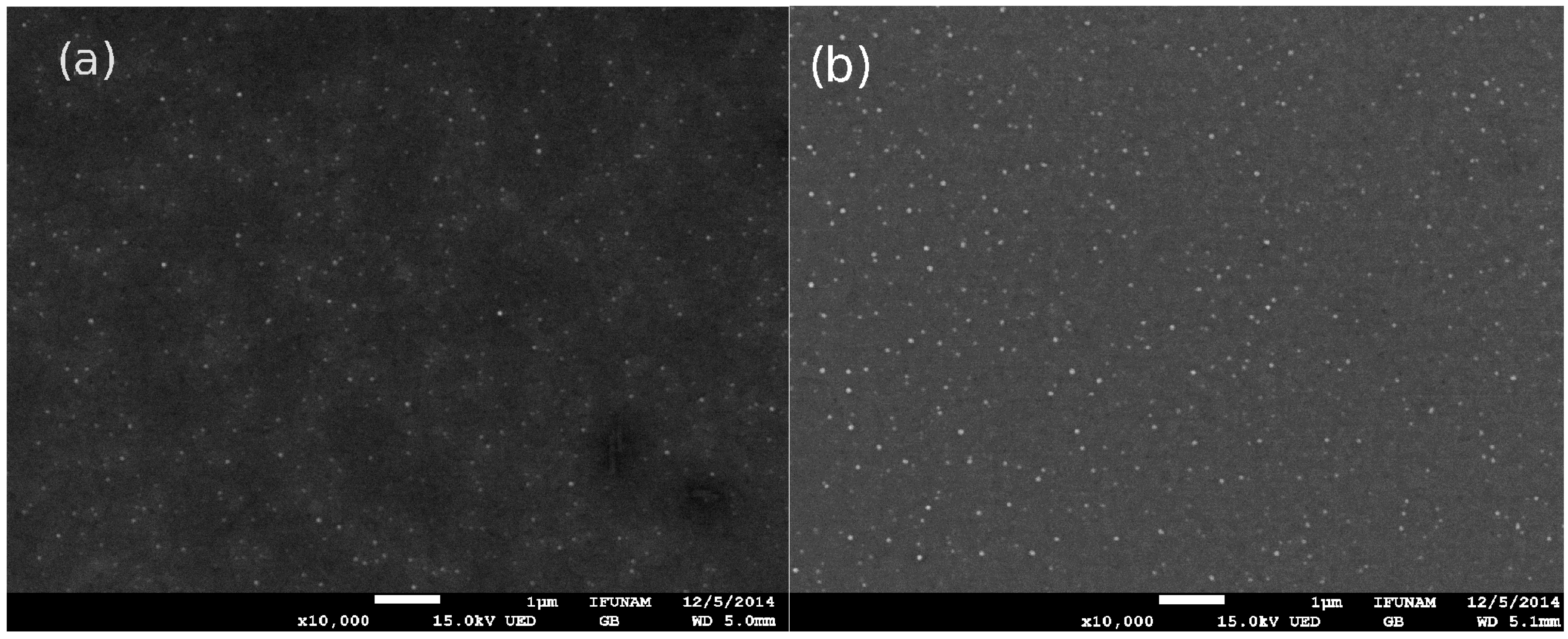 Molecules 20 17533 g005