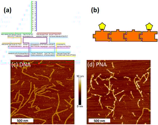 Molecules 20 17645 g003 550