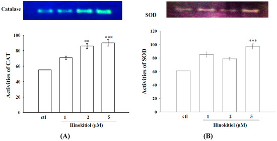 Molecules 20 17720 g003 550