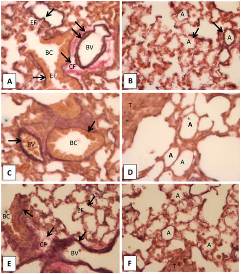Molecules 20 17720 g005 550