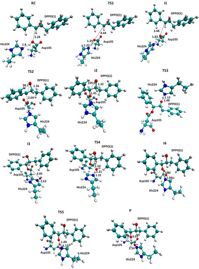 Molecules 20 17789 g007 550