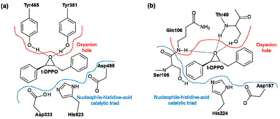 Molecules 20 17789 g008 550