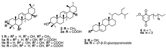 Molecules 20 17818 g001 550
