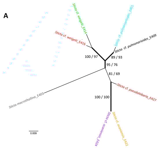 Molecules 20 18047 g009a 550