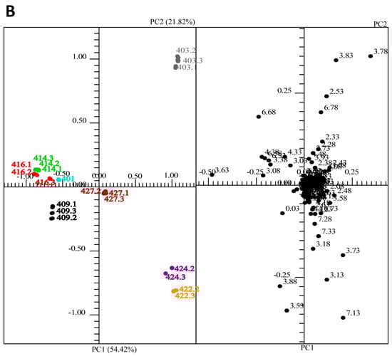 Molecules 20 18047 g009b 550