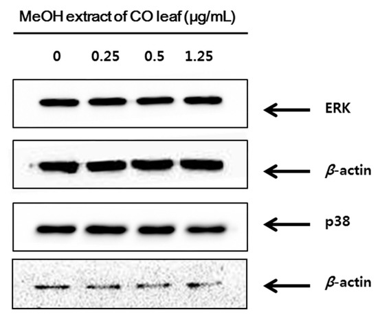 Molecules 20 18066 g008 550