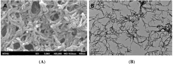 Molecules 20 18585 g005 550
