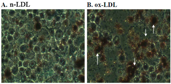 Molecules 20 19051 g003a 550