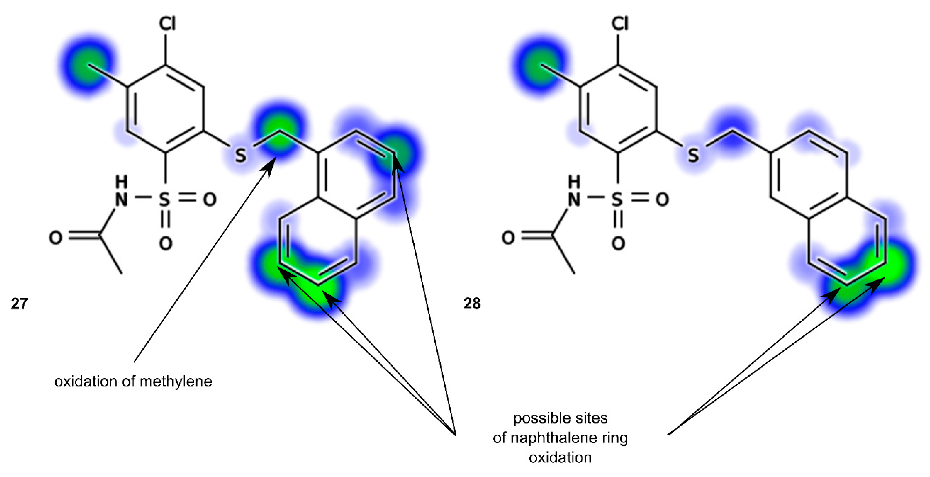 Molecules 20 19101 g007