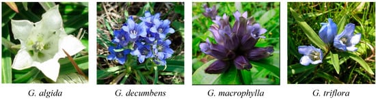 Molecules 20 19172 g001 550