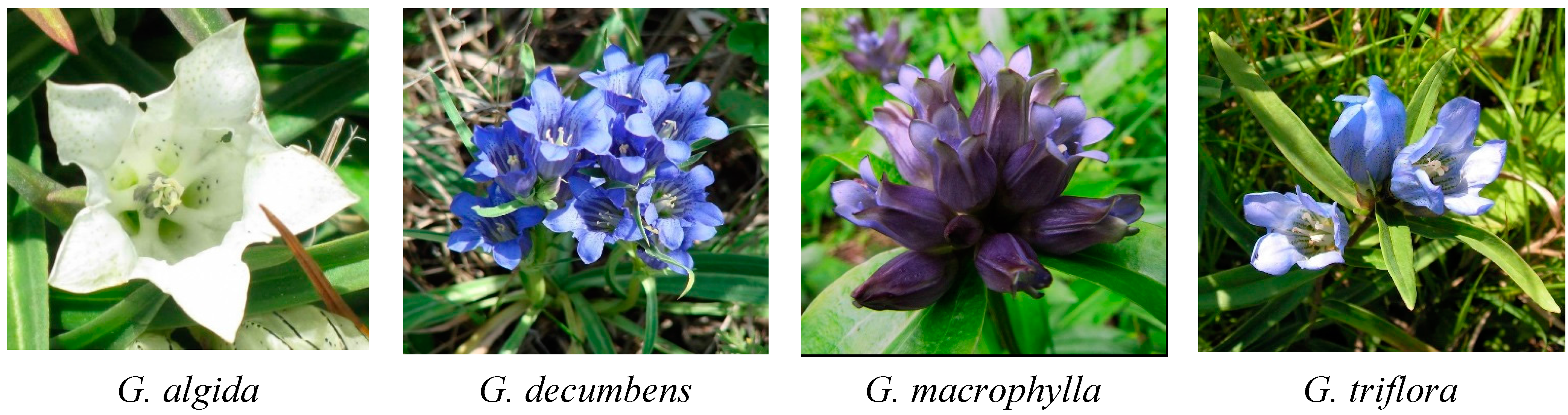 Molecules 20 19172 g001