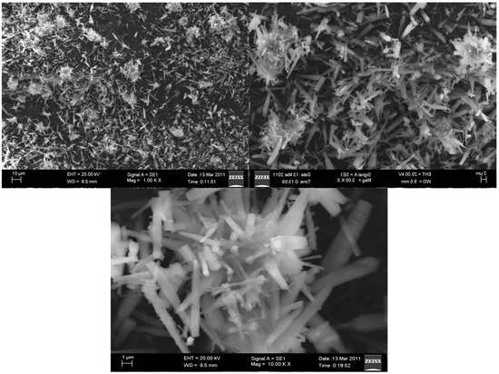 Molecules 20 19221 g003 550