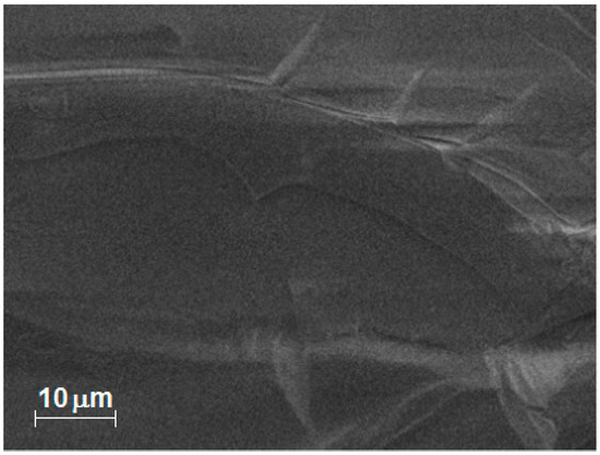 Molecules 20 19463 g011 550