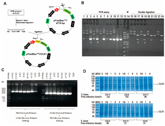 Molecules 20 19653 g001 550