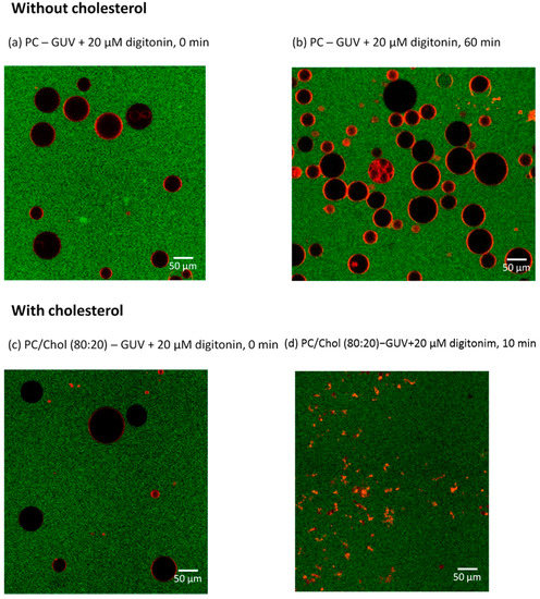 Molecules 20 19682 g006 550