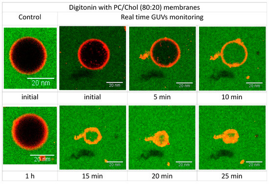 Molecules 20 19682 g008 550