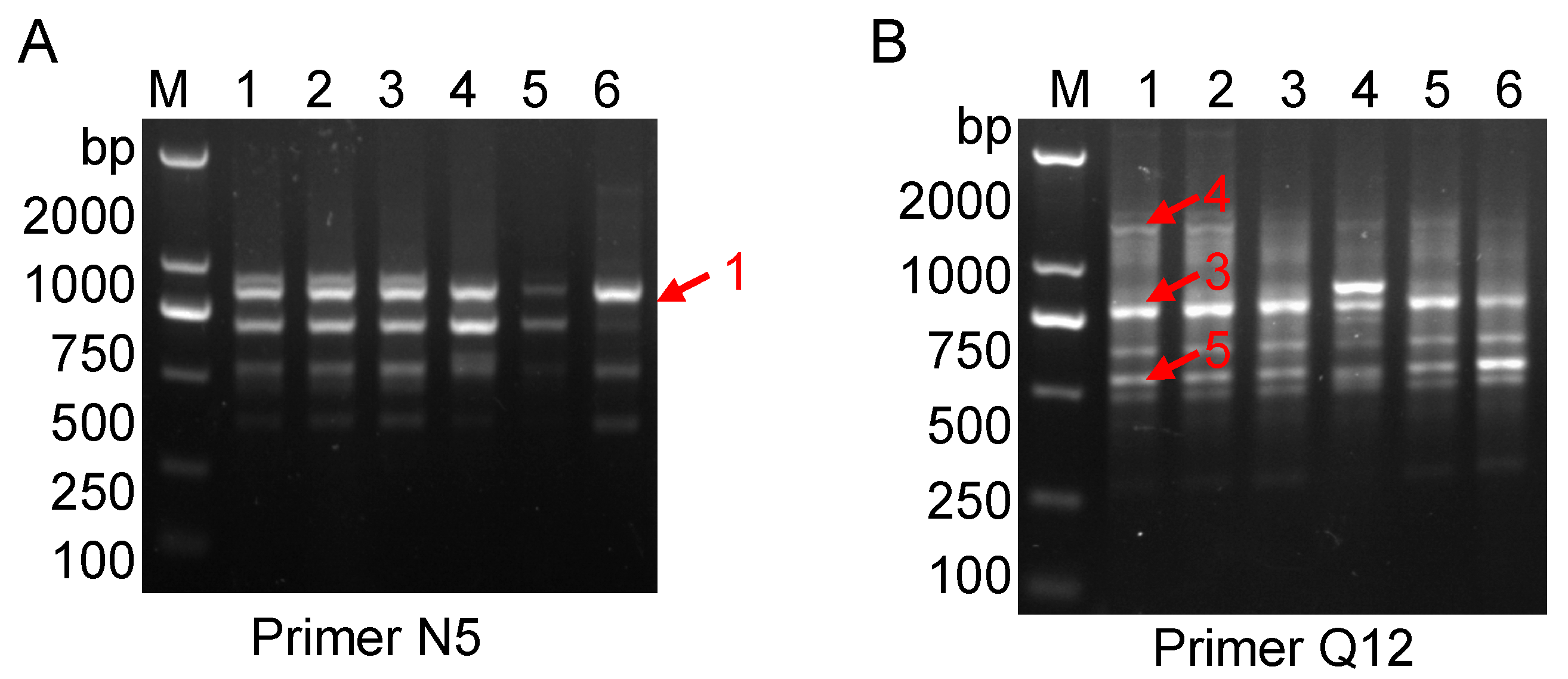 Molecules 20 19687 g002