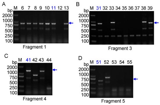 Molecules 20 19687 g003 550