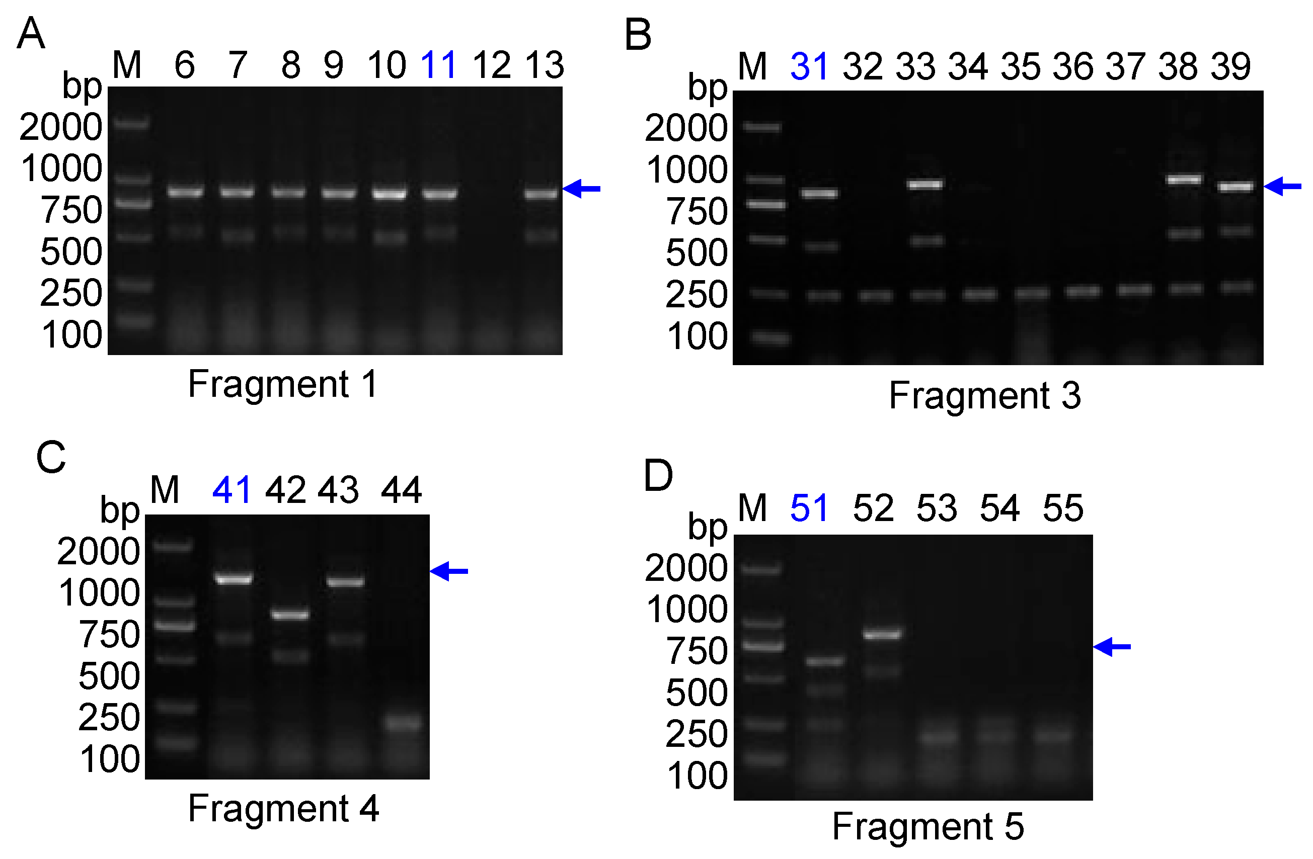 Molecules 20 19687 g003