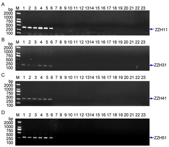 Molecules 20 19687 g005 550
