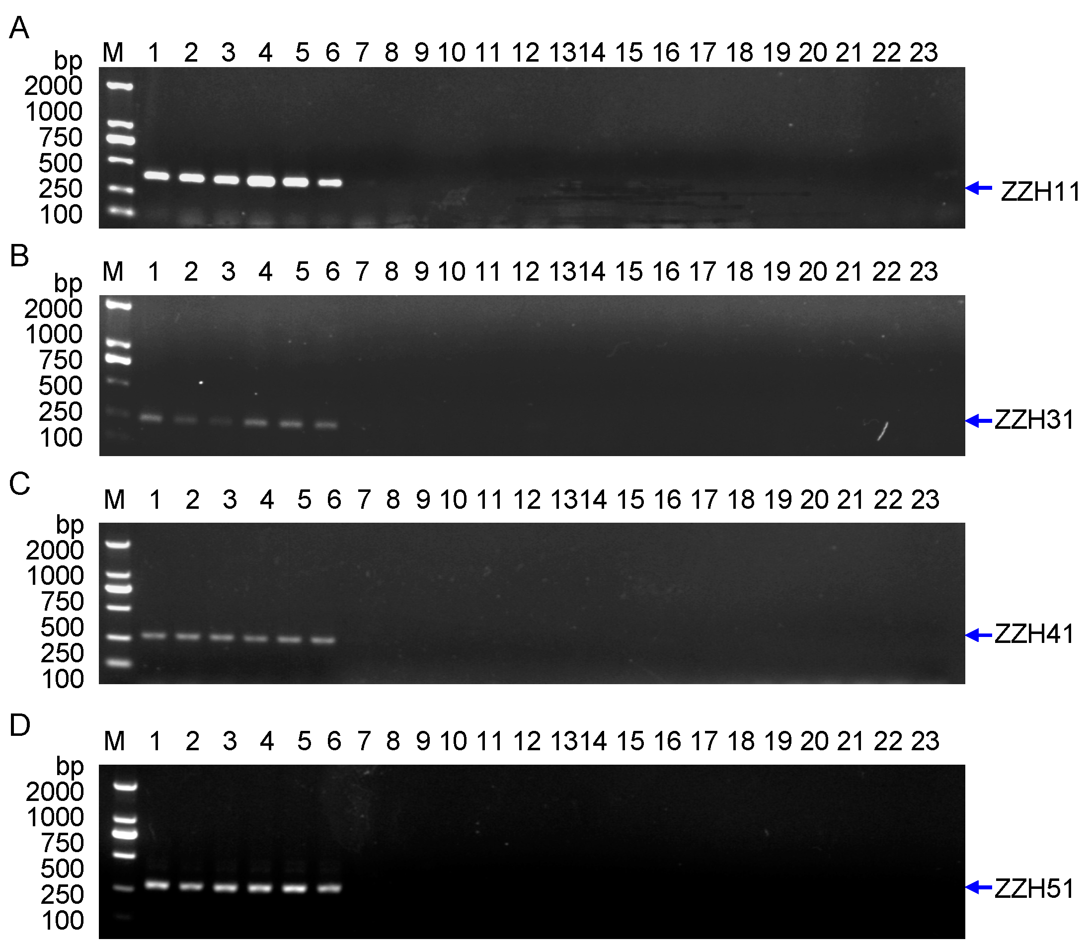 Molecules 20 19687 g005