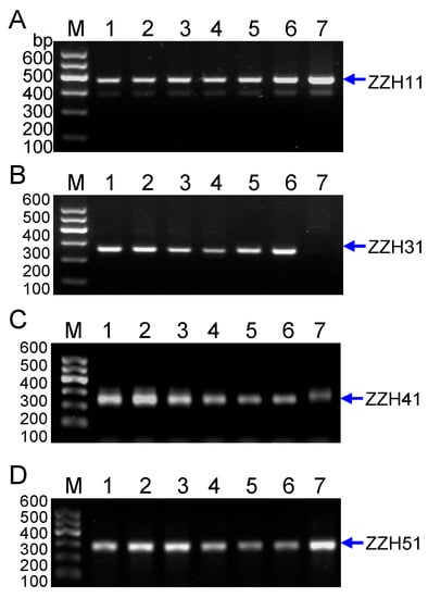 Molecules 20 19687 g006 550